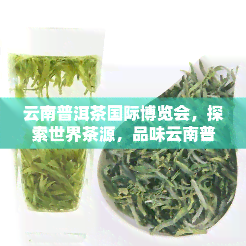 云南普洱茶国际博览会，探索世界茶源，品味云南普洱——云南普洱茶国际博览会大开幕