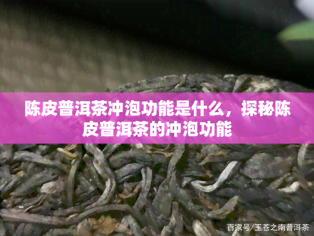 陈皮普洱茶冲泡功能是什么，探秘陈皮普洱茶的冲泡功能