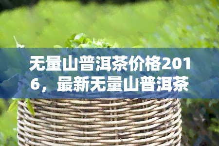 无量山普洱茶价格2016，最新无量山普洱茶2016年价格公布！