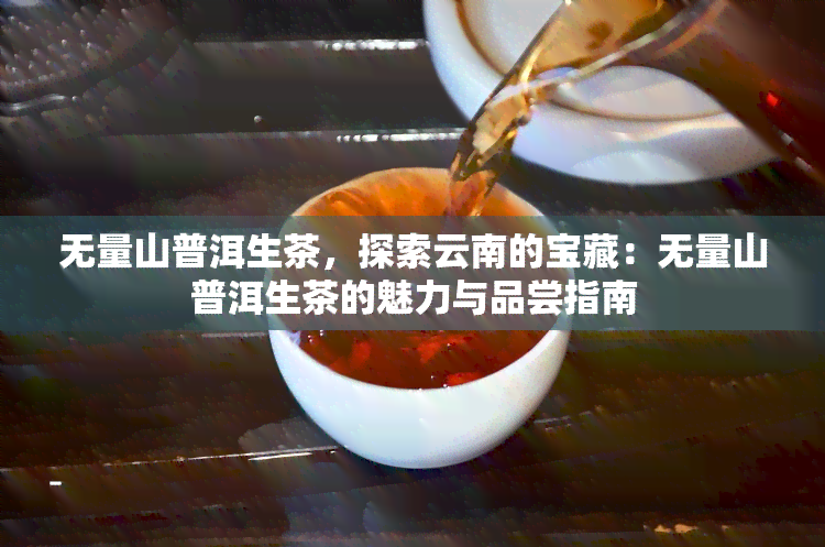 无量山普洱生茶，探索云南的宝藏：无量山普洱生茶的魅力与品尝指南