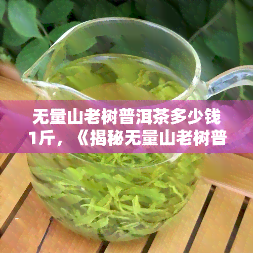 无量山老树普洱茶多少钱1斤，《揭秘无量山老树普洱茶价格：1斤要多少钱？》