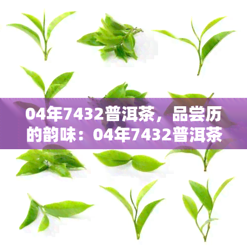 04年7432普洱茶，品尝历的韵味：04年7432普洱茶的魅力探究