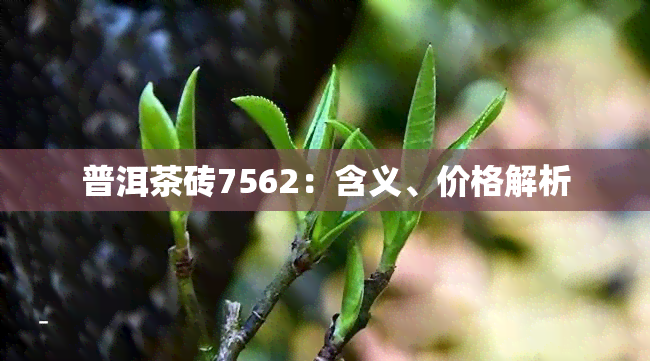 普洱茶砖7562：含义、价格解析