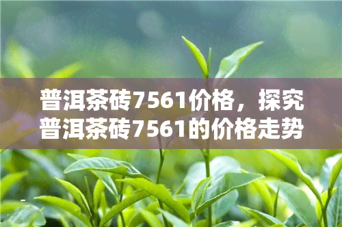 普洱茶砖7561价格，探究普洱茶砖7561的价格走势与市场行情