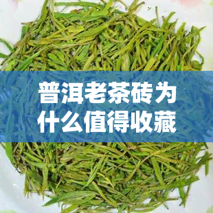 普洱老茶砖为什么值得收藏，探究普洱老茶砖的收藏价值：为何它备受瞩目？