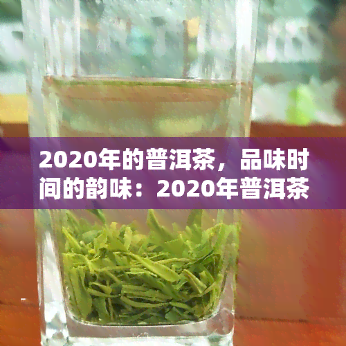 2020年的普洱茶，品味时间的韵味：2020年普洱茶的魅力探究