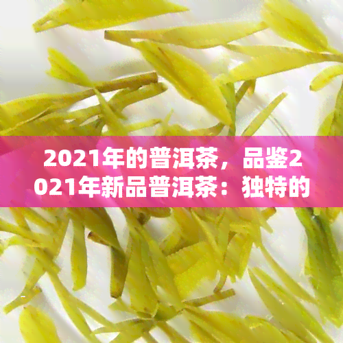 2021年的普洱茶，品鉴2021年新品普洱茶：独特的口感和香气体验