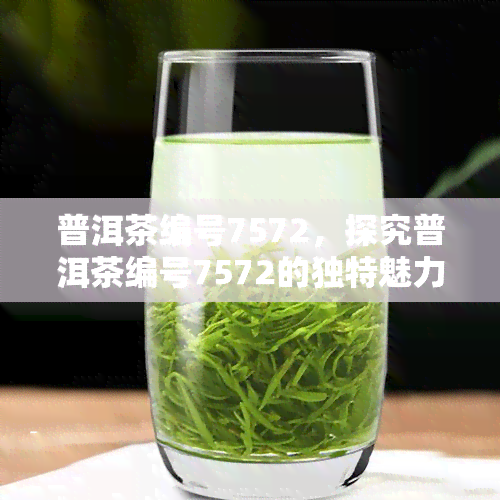 普洱茶编号7572，探究普洱茶编号7572的独特魅力与品鉴技巧