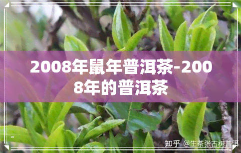 2008年鼠年普洱茶-2008年的普洱茶