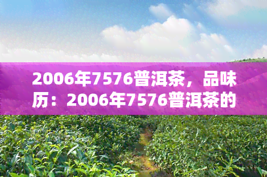 2006年7576普洱茶，品味历：2006年7576普洱茶的魅力与价值探究