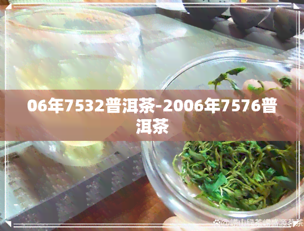 06年7532普洱茶-2006年7576普洱茶