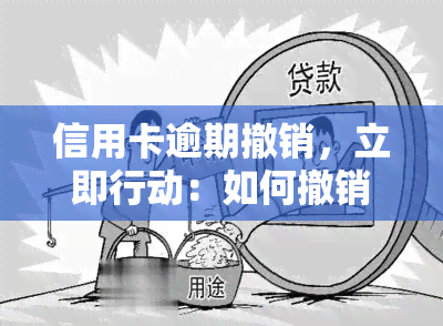 信用卡逾期撤销，立即行动：如何撤销信用卡逾期以避免进一步的后果？