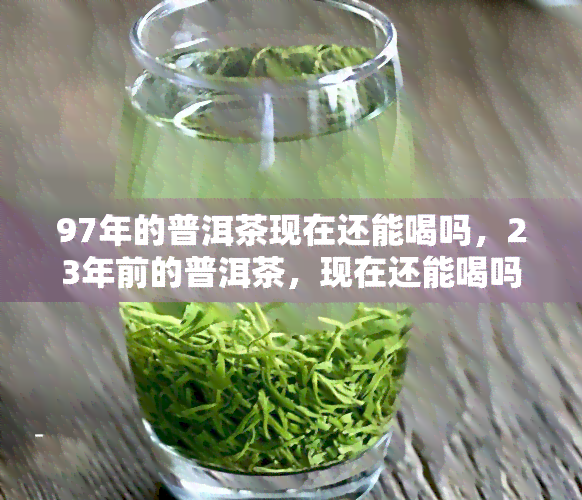 97年的普洱茶现在还能喝吗，23年前的普洱茶，现在还能喝吗？