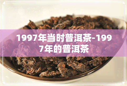 1997年当时普洱茶-1997年的普洱茶