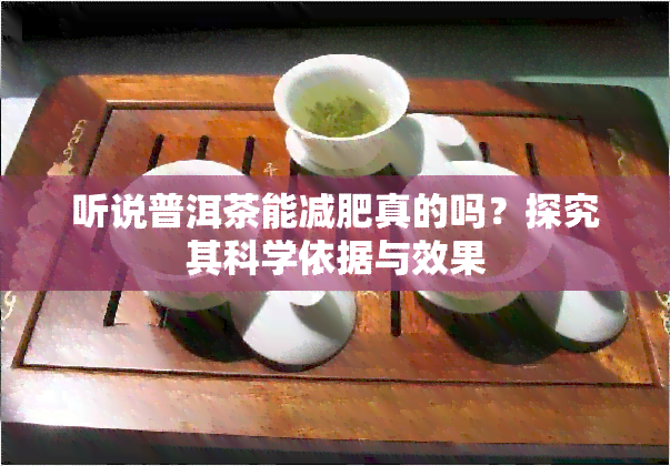 听说普洱茶能减肥真的吗？探究其科学依据与效果