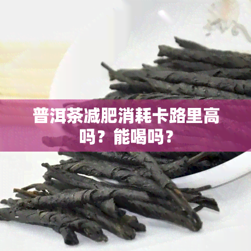 普洱茶减肥消耗卡路里高吗？能喝吗？