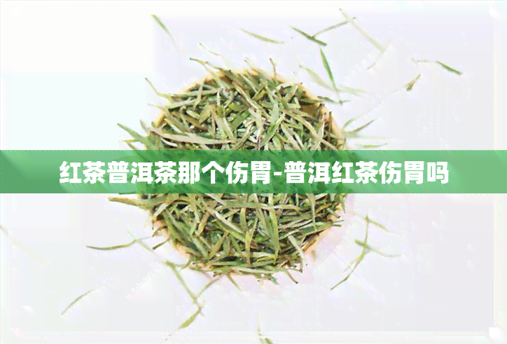 红茶普洱茶那个伤胃-普洱红茶伤胃吗