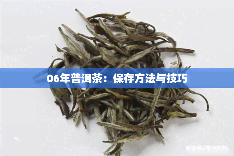 06年普洱茶：保存方法与技巧