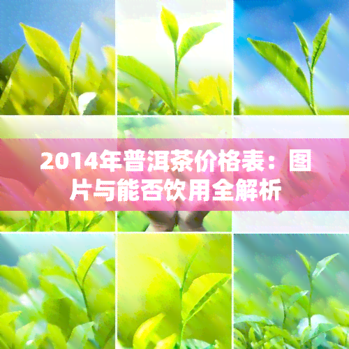 2014年普洱茶价格表：图片与能否饮用全解析