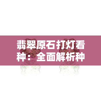 翡翠原石打灯看种：全面解析种水判断方法与实例图解