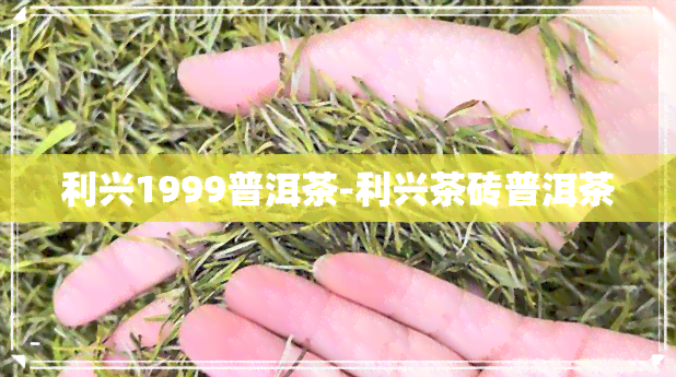 利兴1999普洱茶-利兴茶砖普洱茶