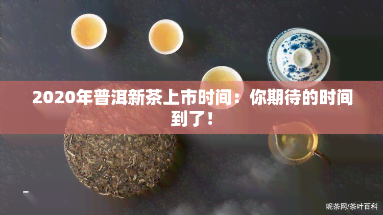 2020年普洱新茶上市时间：你期待的时间到了！