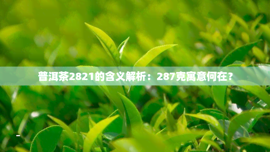 普洱茶2821的含义解析：287克寓意何在？