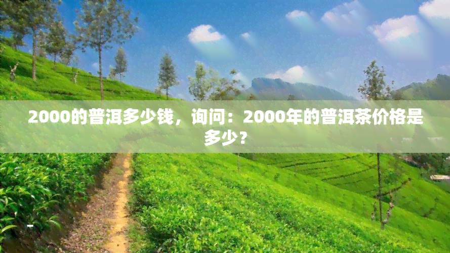 2000的普洱多少钱，询问：2000年的普洱茶价格是多少？