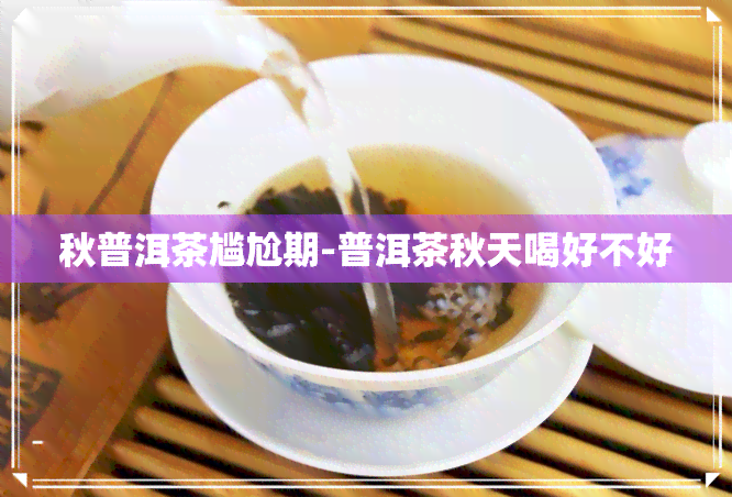 秋普洱茶尴尬期-普洱茶秋天喝好不好