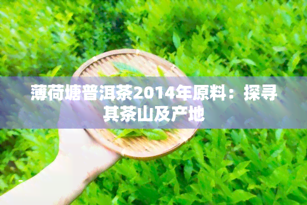 薄荷塘普洱茶2014年原料：探寻其茶山及产地