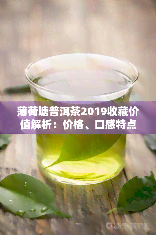 薄荷塘普洱茶2019收藏价值解析：价格、口感特点全面介绍