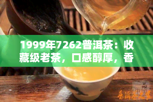 1999年7262普洱茶：收藏级老茶，口感醇厚，香气独特，岁月沉淀出的独特韵味。