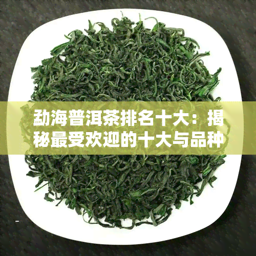 勐海普洱茶排名十大：揭秘更受欢迎的十大与品种