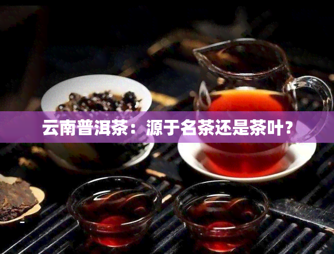 云南普洱茶：源于名茶还是茶叶？