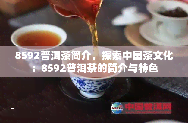 8592普洱茶简介，探索中国茶文化：8592普洱茶的简介与特色