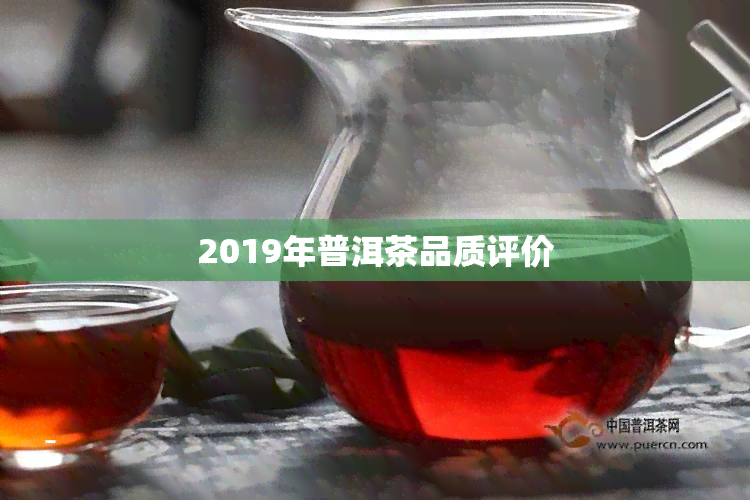 2019年普洱茶品质评价