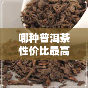 哪种普洱茶性价比更高-哪种普洱茶性价比更高的