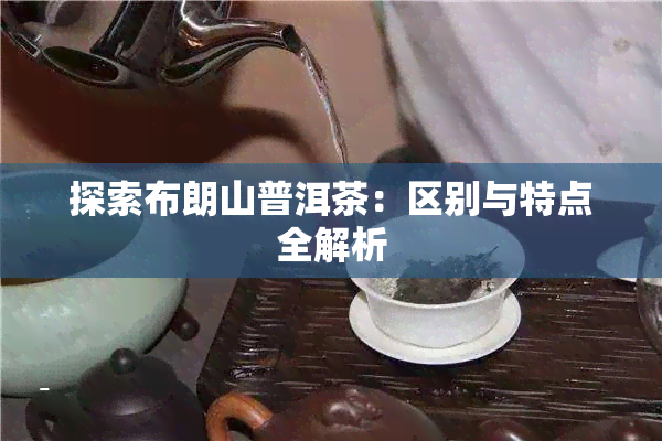 探索布朗山普洱茶：区别与特点全解析