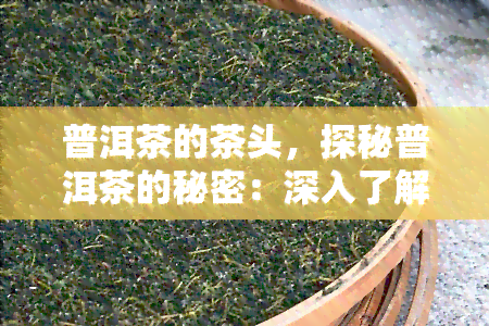 普洱茶的茶头，探秘普洱茶的秘密：深入了解茶头的魅力与功效