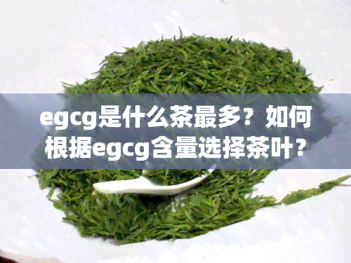 egcg是什么茶最多？如何根据egcg含量选择茶叶？