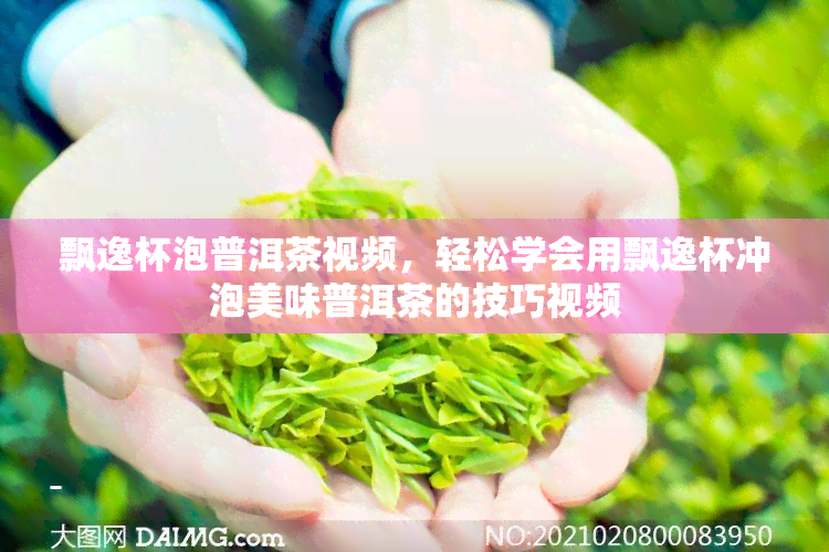 飘逸杯泡普洱茶视频，轻松学会用飘逸杯冲泡美味普洱茶的技巧视频