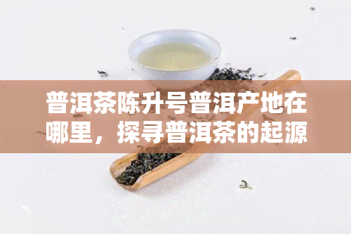 普洱茶陈升号普洱产地在哪里，探寻普洱茶的起源：陈升号普洱来自哪里？