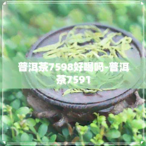 普洱茶7598好喝吗-普洱茶7591