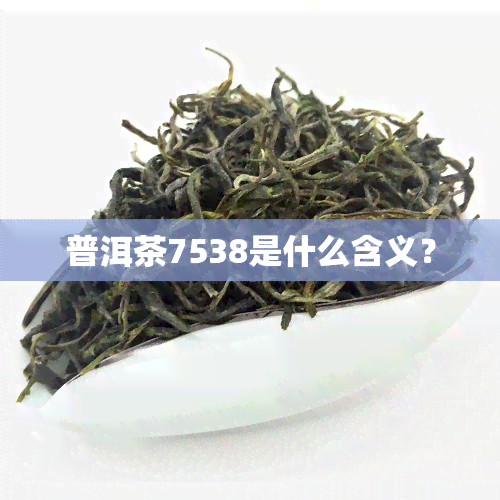 普洱茶7538是什么含义？