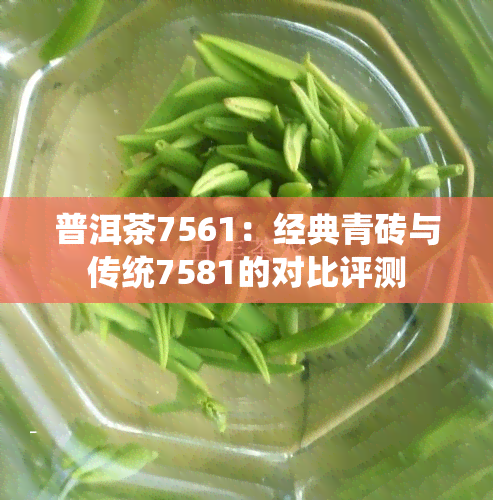 普洱茶7561：经典青砖与传统7581的对比评测