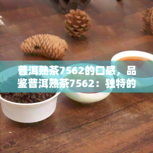 普洱熟茶7562的口感，品鉴普洱熟茶7562：独特的口感体验