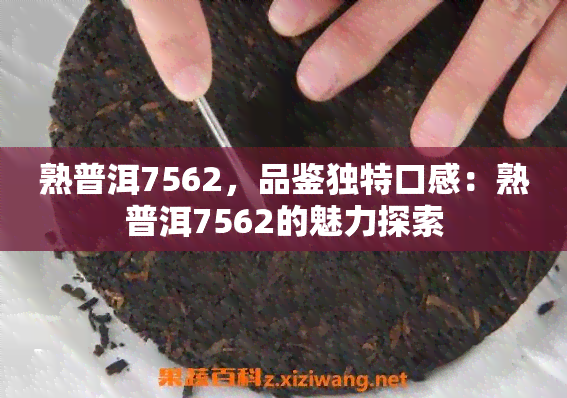 熟普洱7562，品鉴独特口感：熟普洱7562的魅力探索