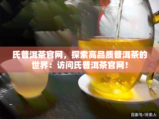 氏普洱茶官网，探索高品质普洱茶的世界：访问氏普洱茶官网！