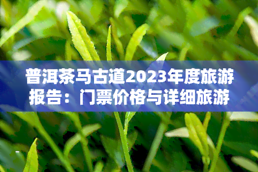 普洱茶马古道2023年度旅游报告：门票价格与详细旅游攻略