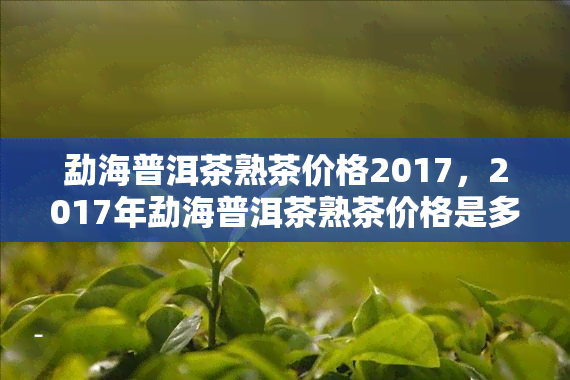 勐海普洱茶熟茶价格2017，2017年勐海普洱茶熟茶价格是多少？